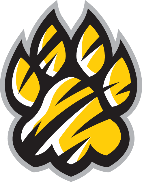 Towson Tigers 2004-Pres Alternate Logo v3 diy iron on heat transfer